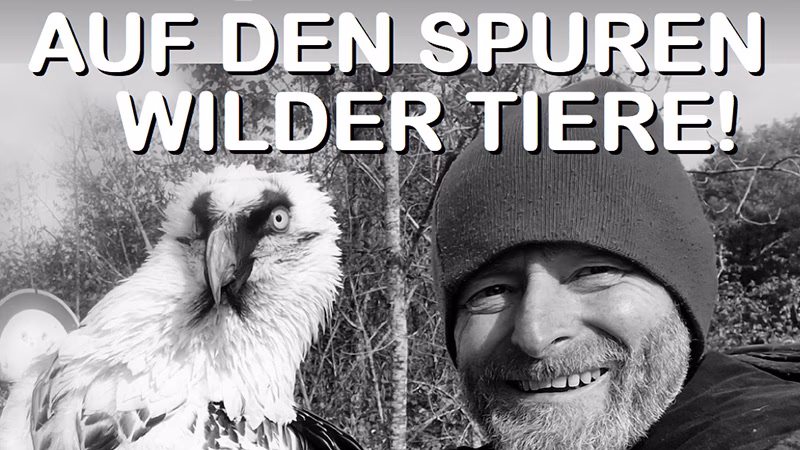 Filmbühne-2025-11-teaser